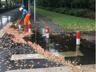 上海市道路保洁与垃圾清运工作月刊2021年第9期156.png