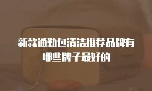 新款通勤包清洁推荐品牌有哪些牌子最好的