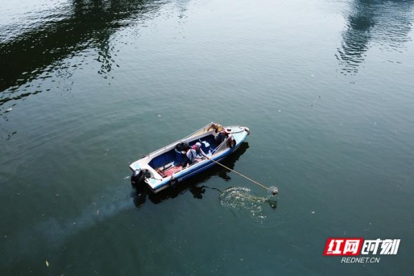 河道清洁员正在清理湘江中的垃圾。
