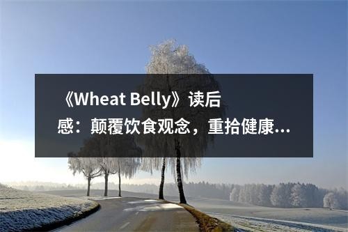 《Wheat Belly》读后感：颠覆饮食观念，重拾健康人生 (700字)