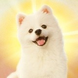 Z绮绮