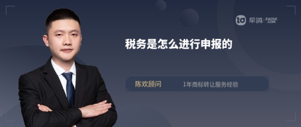 税务是怎么进行申报的