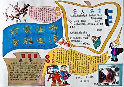 感悟生活启示人生手抄报模板
