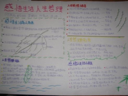 感悟生活哲理的手抄报 读书感悟手抄报