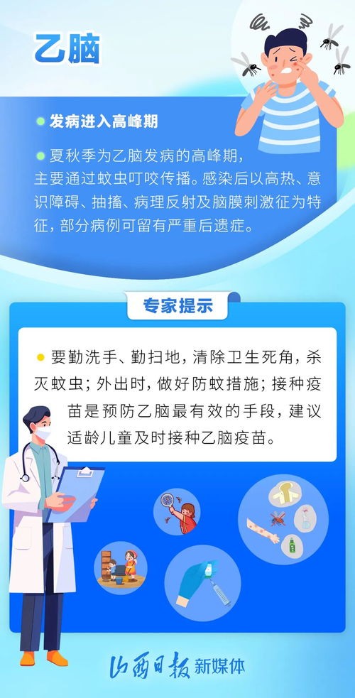 宠物健康守护指南,预防疾病小贴士