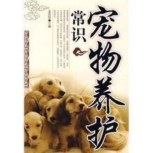 宠物养护秘籍大揭秘，必备！