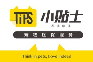 宠物<a target=