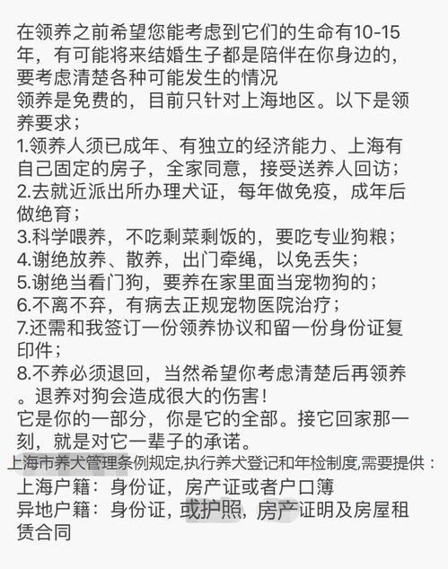 宠物养护秘籍,收养指南,大师之道