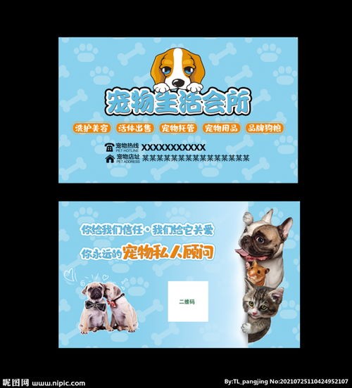 “宠物生活小贴士,艾美森宠物诊所,养宠必备指南!”