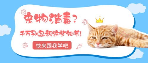 “宠物生活小贴士，艾美森宠物诊所，养宠必备指南！”