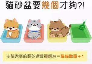 宠物养护小贴士,疫病防治必看!