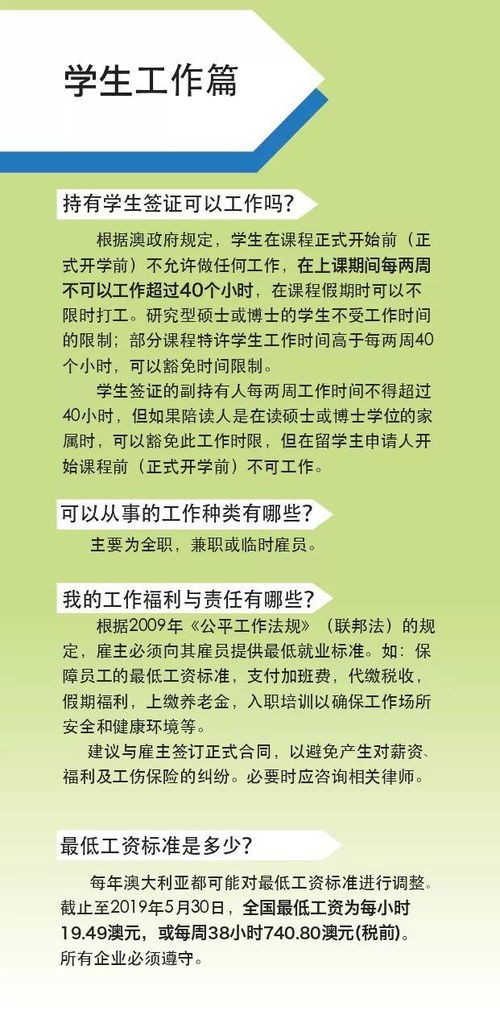宠物急救小贴士手册