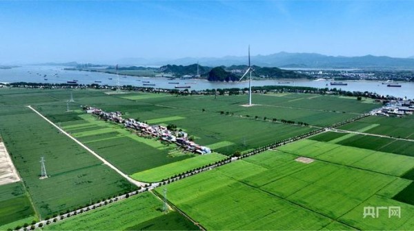 棉船镇风力发电与田园生态景观(央广网发 柯恒 摄)