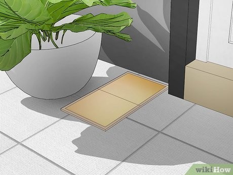 Step 3 在屋外附近设置捕鼠器。