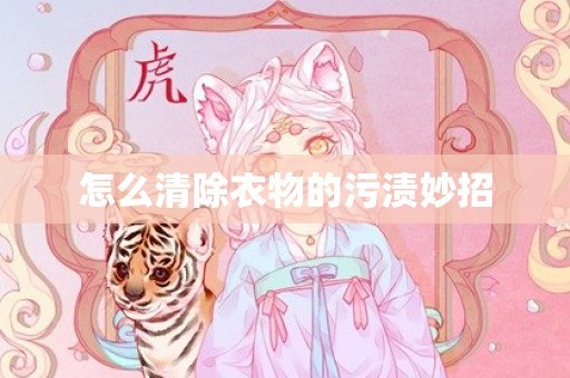 怎么清除衣物的污渍妙招
