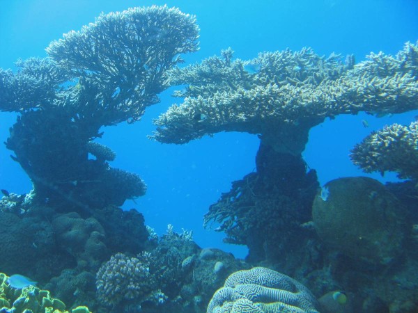 深海