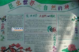 热爱大自然手抄报图片欣赏