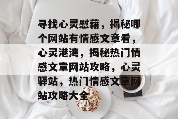 寻找心灵慰藉，揭秘哪个网站有情感文章看，心灵港湾，揭秘热门情感文章网站攻略，心灵驿站，热门情感文章网站攻略大全