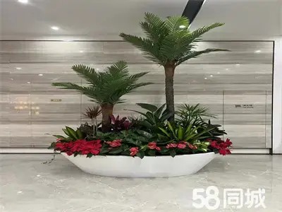 店主头像