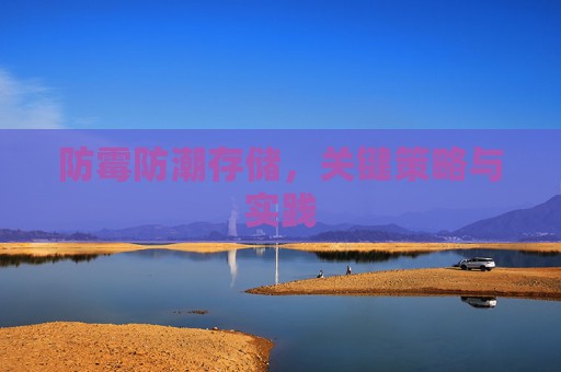 防霉防潮存储，关键策略与实践