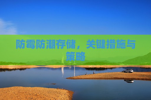 防霉防潮存储，关键措施与策略