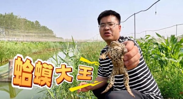 “村里来了年轻人”系列报道① “蛤蟆大王”王思栓