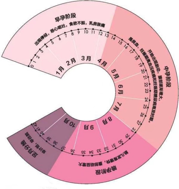孕期健康教育内容