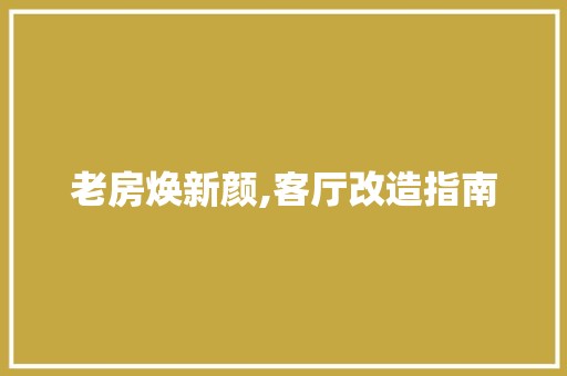 老房焕新颜,客厅改造指南