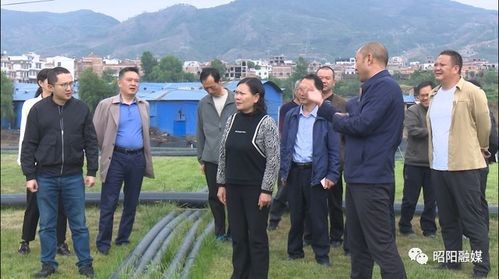 揭秘中国环境风水学:如何运用自然之力改善生活品质!