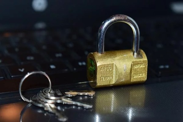 驾驭双重效忠：将个人抱负与企业目标相结合
