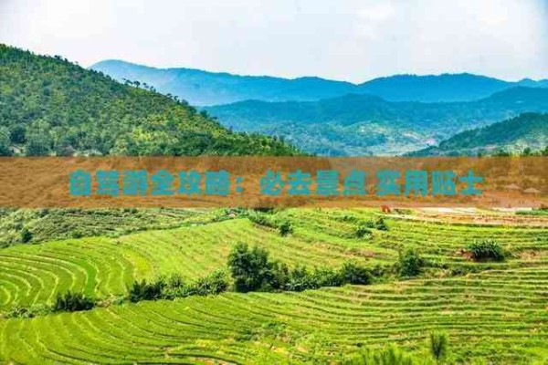 自驾游全攻略：必去景点 实用贴士