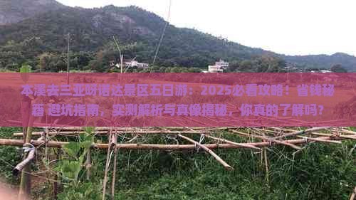 本溪去三亚呀诺达景区五日游