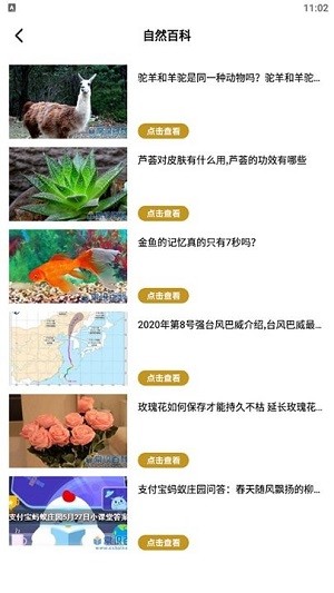生活小妙招