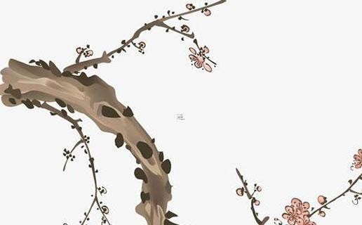扫房吉日与家居风水的关系 2025年1月的扫房建议