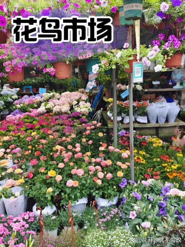 濮院2天1夜游，古镇+夜市超有趣！ 这次和朋友约定去濮院玩两天，体验下古镇的悠闲生活，再大快朵颐于夜市。整个行程简直超满足！快来看看我的游玩攻略吧~ 推荐路线： Day1: 月河历史街区->花鸟市场 Day2: 南湖->马家浜博物馆->濮院时尚古镇->濮院佳源夜市 Day1: 月河历史街区+花鸟市场 一开始我们先冲到了月河历史街区。它位于嘉兴市南湖区建国北路22号，免费开放，全天开放。整个街区有着浓浓的明清建筑风格，小桥流水、旧民居、廊棚，拍照超级出片。 南门进入后，一路走中基街，这里各种嘉兴大肉粽、糖葫芦、糕点等小吃，真的是吃货的天堂。强烈推荐大家试试“真真老老”的现包粽子，味道真心赞。 继续走，参观了嘉兴粽子博物馆，这是全国首家粽子博物馆，展示了嘉兴粽子的历史和发展。师傅现场包粽子展示真的好有意思！月河绣文化馆也不容错过，各种刺绣作品让人眼花缭乱。 中午，我们在江南外婆桥吃饭，就在街区内的餐馆，点了些家常菜，味道好到爆！而且不用排队，超幸运。 下午继续在月河老街闲逛，这里古宅老巷特别有江南水乡的感觉。到了花鸟市场，买了些小动物和鲜花，10-20元一大把满天星、玫瑰、康乃馨，真的是物美价廉。 傍晚时分，街区的灯光亮起，小桥流水人家，夜幕下的月河历史街区更添几分诗意。酒吧街也热闹起来，适合拍夜景，光影交错，超级出片。 Day2: 南湖+马家浜博物馆+濮院时尚古镇+濮院佳源夜市 第二天早上，我们来到南湖。南湖景色宜人，空气特别清新，适合晨跑和散步。而且这里是免费的，全天开放，所以可以随时来。 之后去马家浜博物馆，展示了桐乡马家浜文化的历史和文化遗产。推荐大家参观“古代生活展厅”，感觉非常有趣，博物馆免费开放，建议提前查下开放时间。 中午，我们驱车前往濮院时尚古镇。这地方的建筑古色古香，特别推荐长街宋宴的古建筑，历史感满满。不过要注意，这里商业化程度不高，所以购物和美食选择有限。推荐大家去福山寺和濮院佳源夜市，体验地道夜市风情。 傍晚，我们来到了福山寺。寺庙虽然不大，但平静祥和，夕阳西下的时候，整个寺庙被染上了一层金色，非常美丽。寺里还有两株近千年的古银杏树，秋天来的时候，景色会更加迷人。 夜幕降临，我们前往濮院佳源夜市，这里离嘉兴市区仅半小时车程。夜市汇集了来自东北的烧烤、盱眙龙虾、重庆火锅等各地美食。一定要尝尝烤苕皮和脆皮年糕，还有香肠和油炸长沙臭豆腐，夜市营业时间是16:00到23:00，完全可以逛到尽兴。 小贴士： 1月河历史街区免费开放，全天开放，随时前往。 2江南外婆桥吃饭推荐，味-有驾