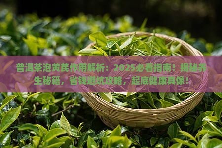 普洱茶泡黄芪作用