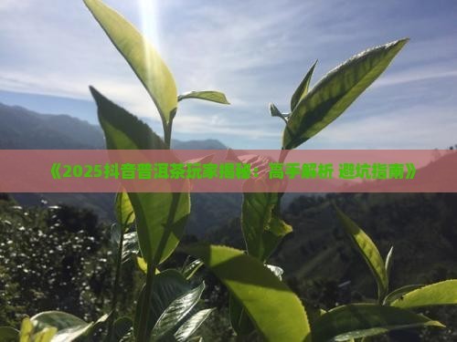 抖音早期做普洱茶的人