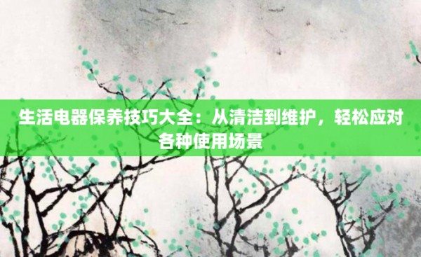 生活电器保养技巧大全:从清洁到维护,轻松应对各种使用场景