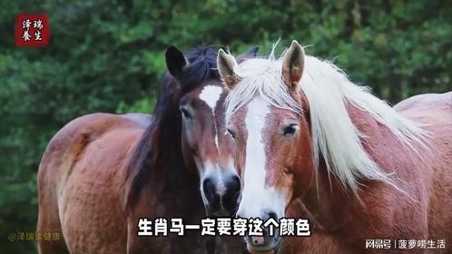 生肖马一定要穿这个颜色，好运不请自来！