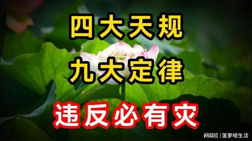 四大天规，九大定律，违反必有灾，人生智慧与感悟
