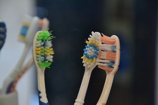大刷头牙刷品牌盘点，清洁更高效，体验更舒适！