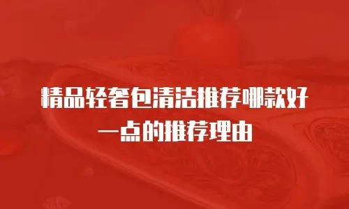 精品轻奢包清洁推荐哪款好一点的推荐理由