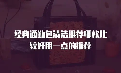 经典通勤包清洁推荐哪款比较好用一点的推荐