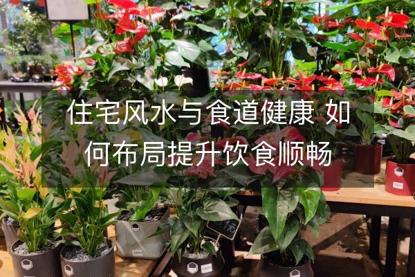 住宅风水与食道健康 如何布局提升饮食顺畅