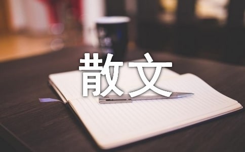 宁静致远的人生境界