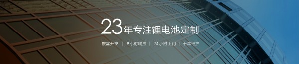 23年专注锂电池定制