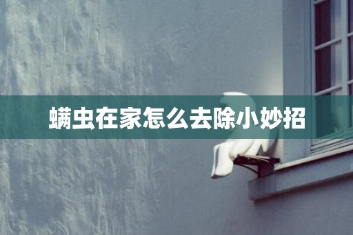 螨虫在家怎么去除小妙招