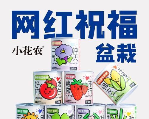 向日葵室内养护全攻略（掌握“适合”与“不适合”，打造健康绿色生活）