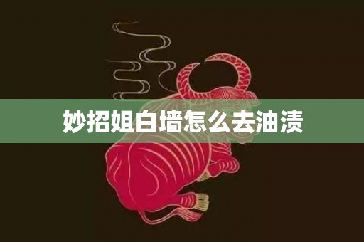 妙招姐白墙怎么去油渍