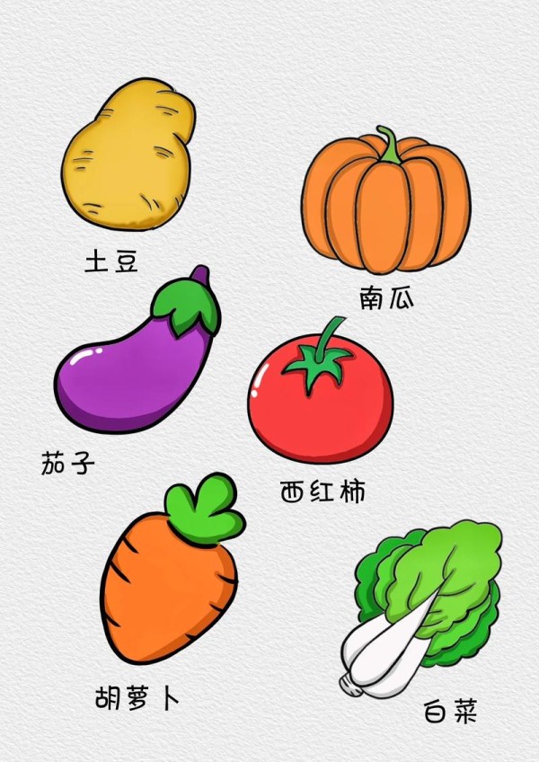 各种各样的蔬菜简笔画儿童画